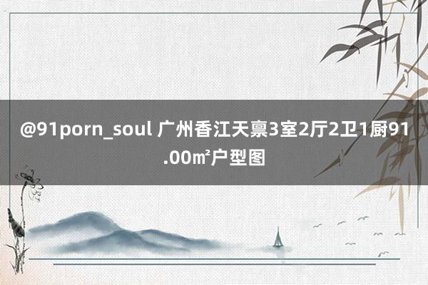 @91porn_soul 广州香江天禀3室2厅2卫1厨91.00㎡户型图