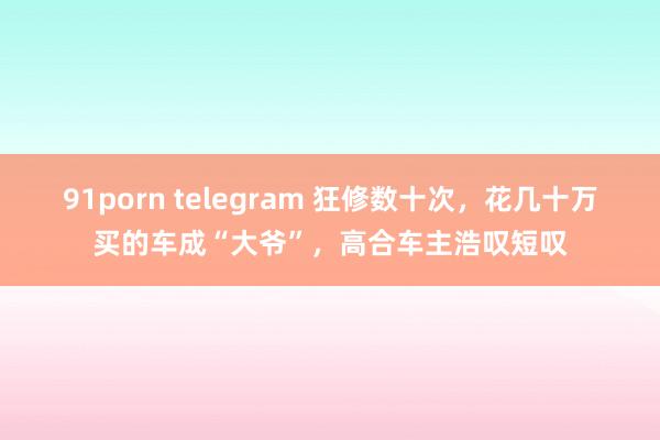 91porn telegram 狂修数十次，花几十万买的车成“大爷”，高合车主浩叹短叹