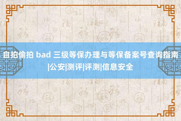 自拍偷拍 bad 三级等保办理与等保备案号查询指南|公安|测评|评测|信息安全