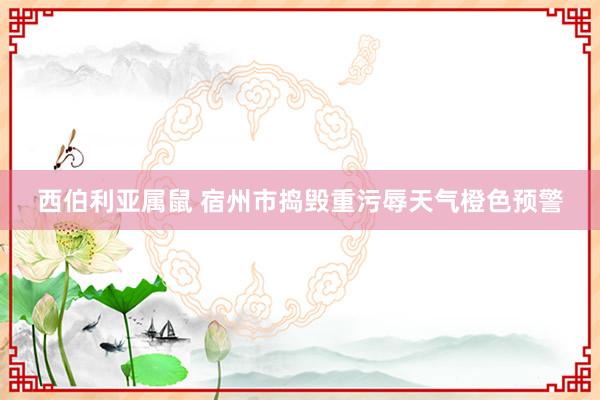 西伯利亚属鼠 宿州市捣毁重污辱天气橙色预警